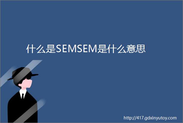 什么是SEMSEM是什么意思